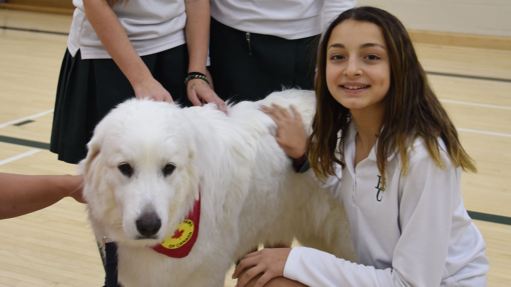 A student pets a therapy dog in the gym.