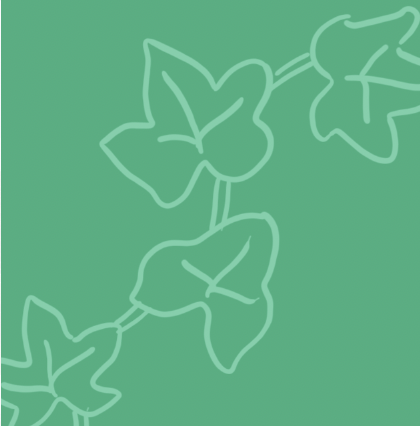 An illustration of ivy leaves done in light green on a darker green background.