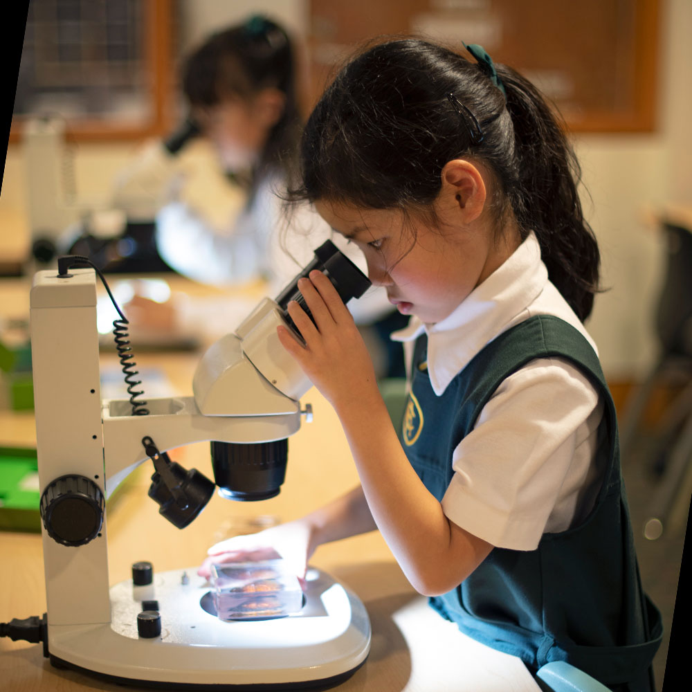 A Junior School student looks through a microscope.