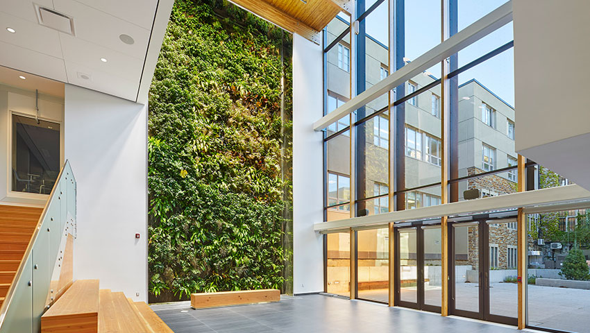 The Old Girls BioWall and Learning Commons.