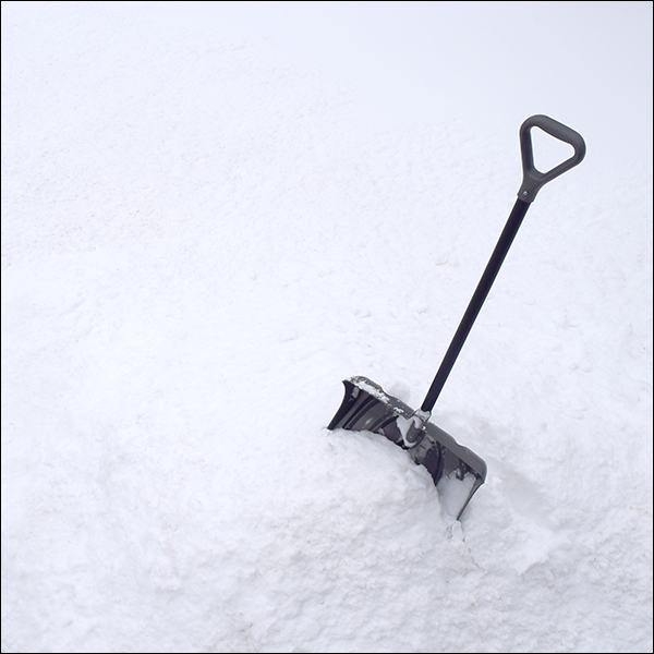 shovel in the snow