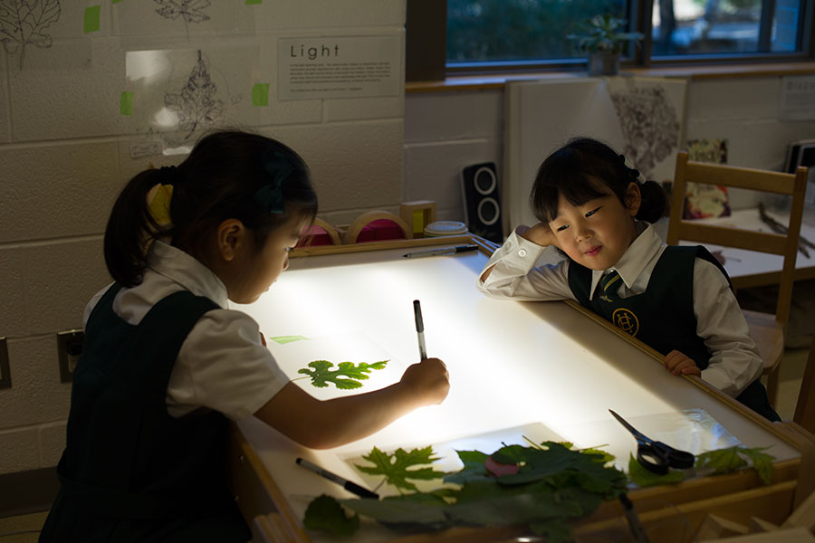 Two kindergarten students examine leaves on a light box.