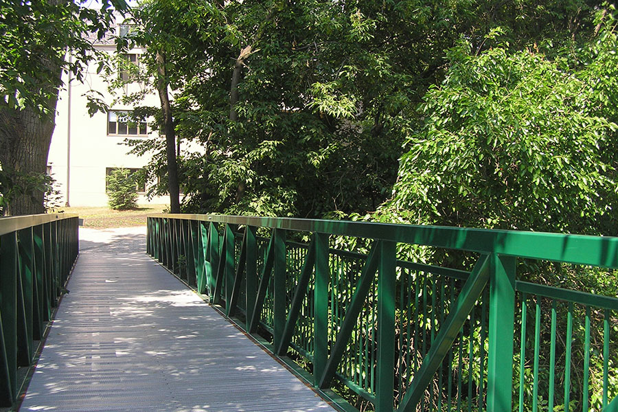 A bridge with green railings surrounded by a Carolinian forest.