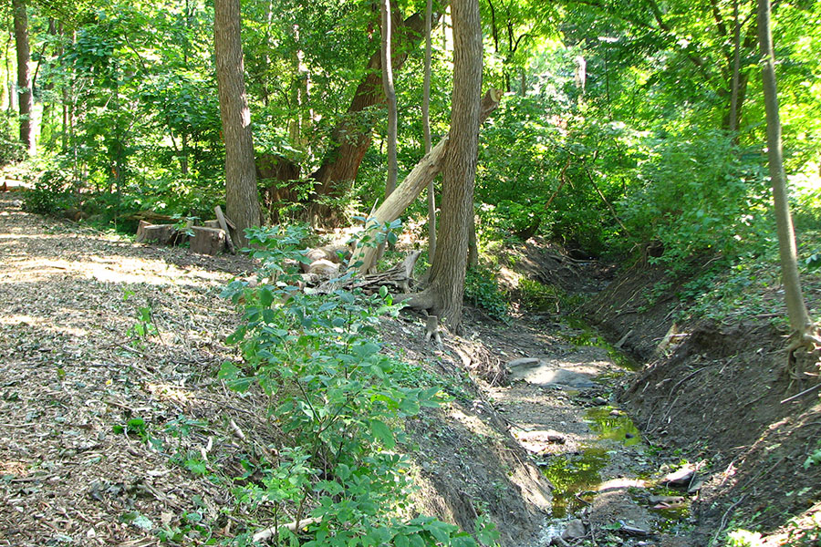 The Lisa Hardie Trail and the Burke Brook.