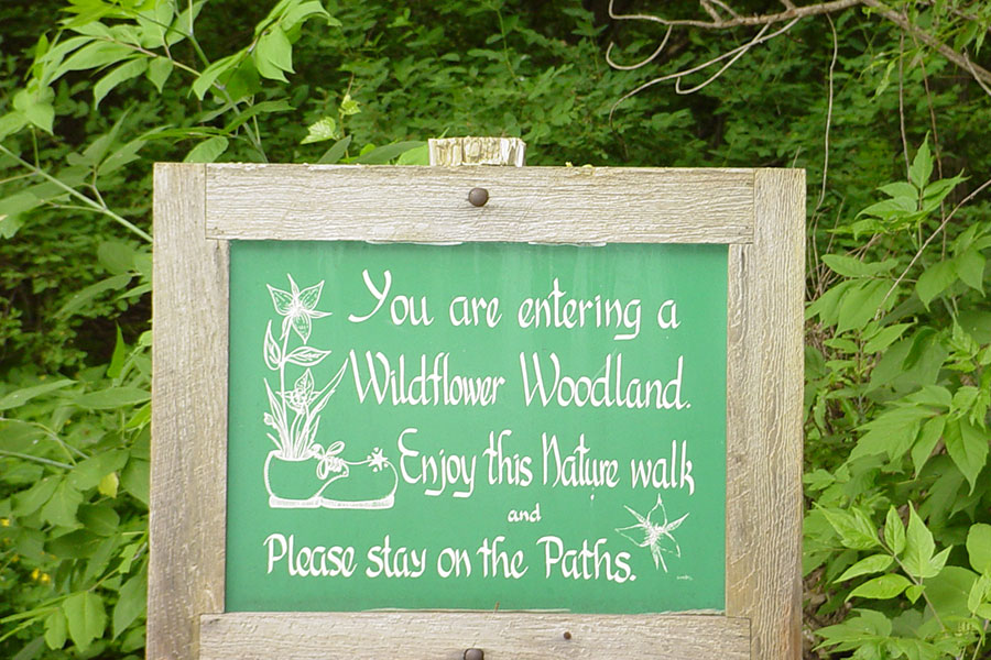 A sign inviting people to enjoy the woodland trail and stay on the paths.