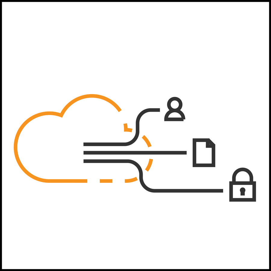 Illustration of a cloud with an identity, document and lock.