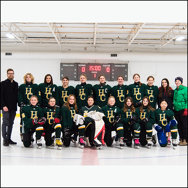 The D2 Hockey Team.