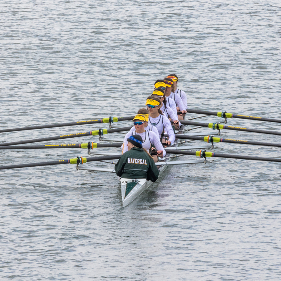 rowers on the water