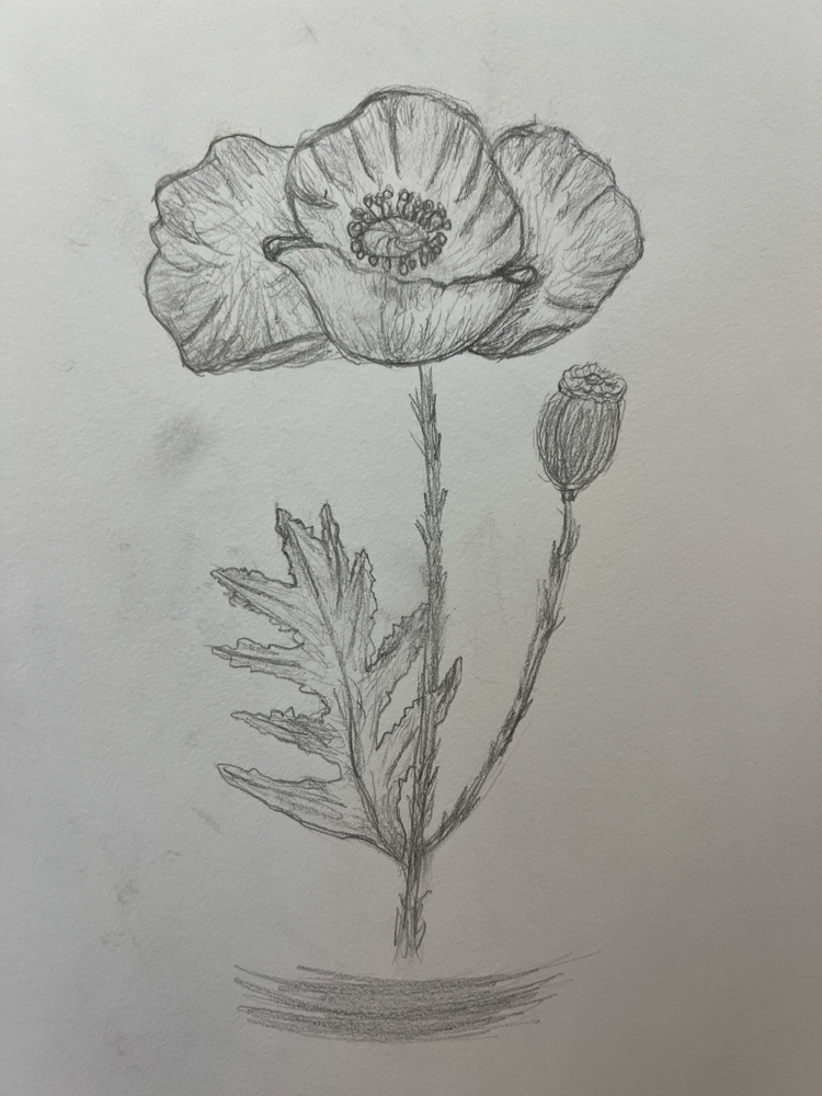 Student art.