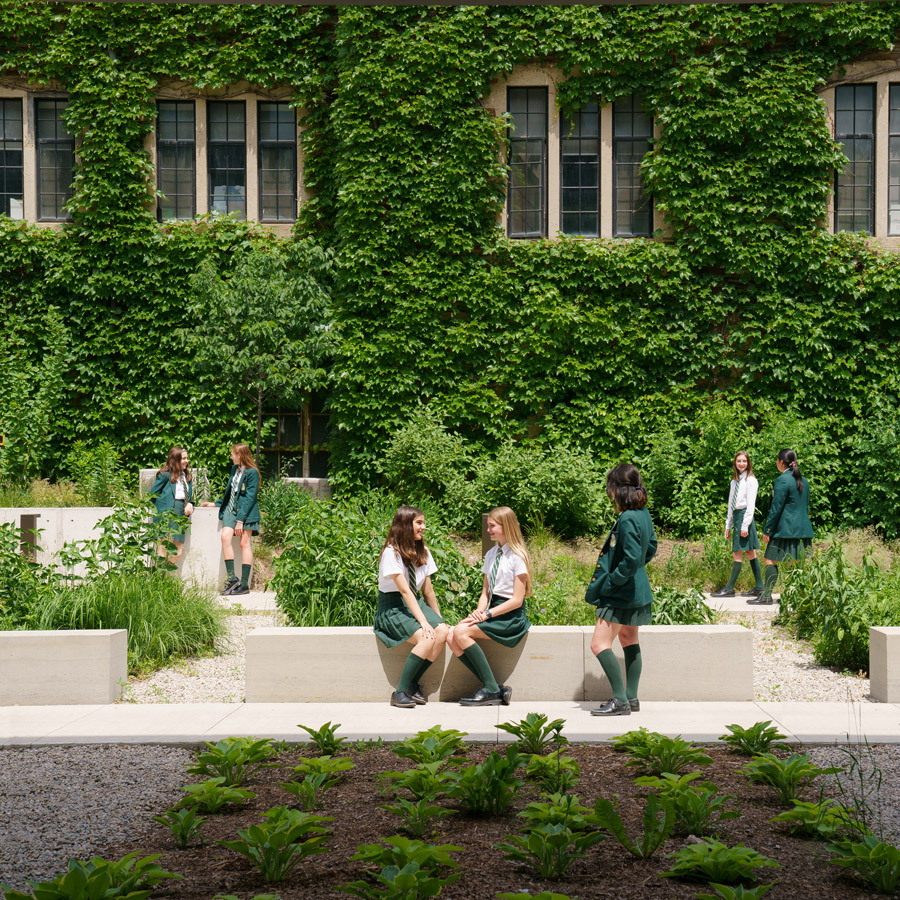 Decorative photo of students standing outside talking to each other.
