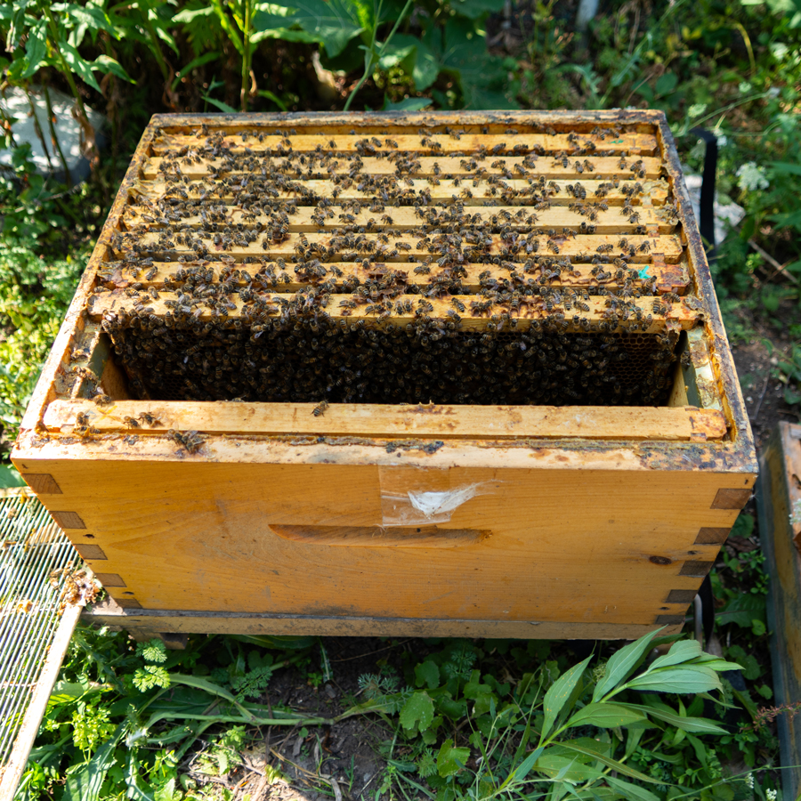 Havergal's beehive.