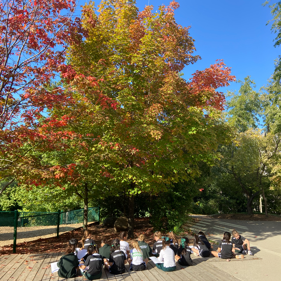 Tree with Grade 1 students sitting in front of it.